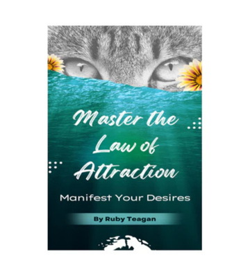 Master the Law of Attraction eBook