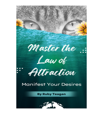 Master the Law of Attraction