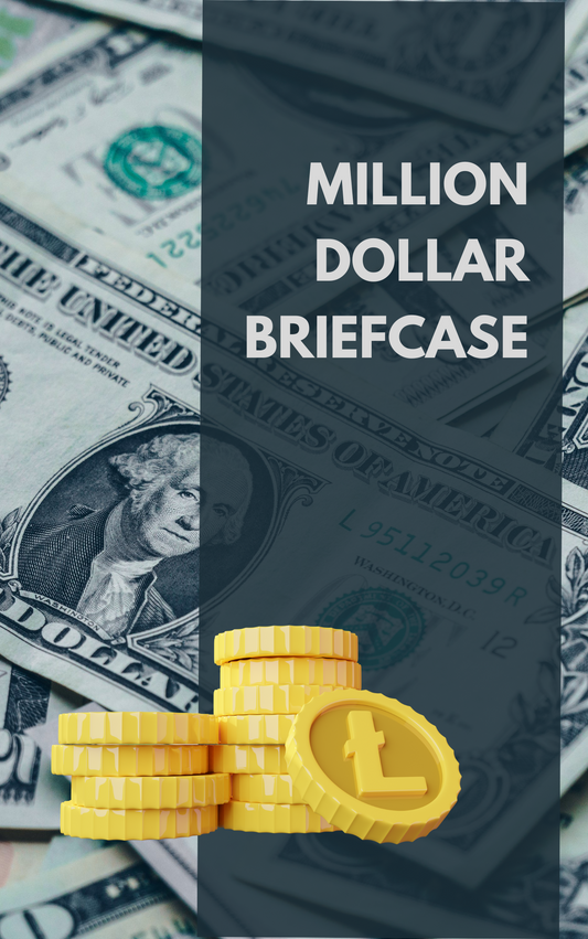 Million Dollar Briefcase eBook