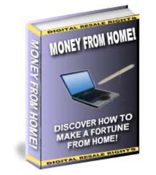 Money From Home eBook