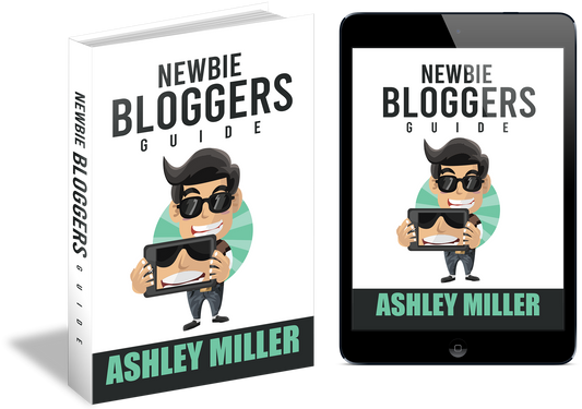 Newbie Bloggers Guide eBook