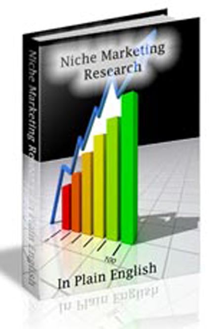 Niche Marketing Research In Plain English eBook