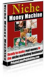 Niche Money Machine eBook