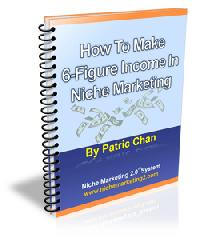 Niche Report 2008 eBook