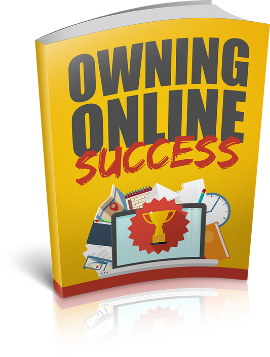 Owning Online Success eBook