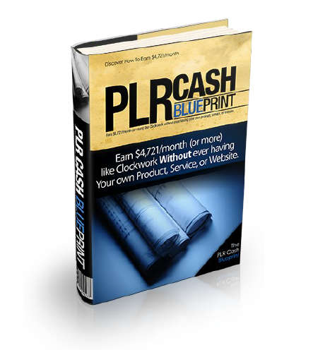 PLR Cash Blueprint eBook