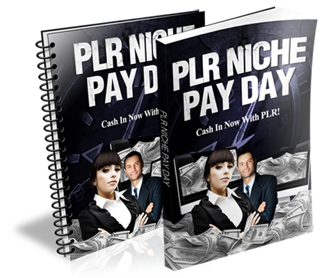 PLR Niche Pay Day eBook