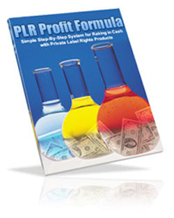 PLR Profit Formula eBook