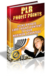 PLR Profit Points eBook