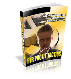 PLR Profit Tactics eBook