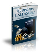 PLR Profit Unleashed eBook