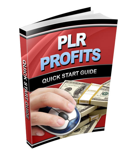 PLR Profits eBook