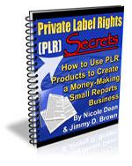 Private Label Rights PLR Secrets eBook