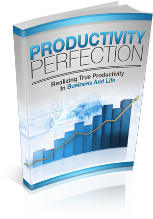 Productivity Perfection eBook