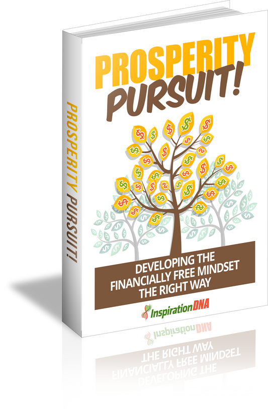 Prosperity Pursuit eBook