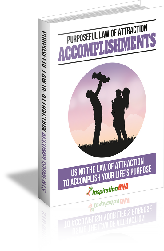 Purposeful Law Of Attraction Accomplishments eBook