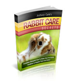 Rabbit Care Secrets eBook