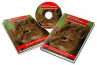 Raising Exotic Bengal Kittens Collection eBook