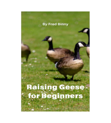Raising Geese for Beginners eBook
