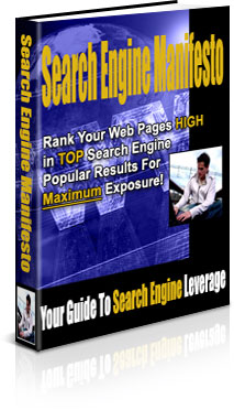 Search Engine Manifesto eBook