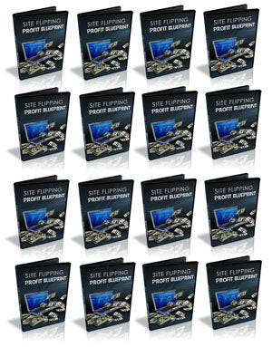 Site Flipping Profit Blueprint Video Series eBook