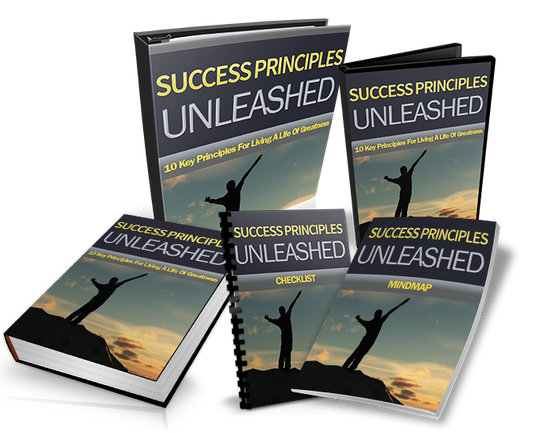 Success Principles Unleashed eBook