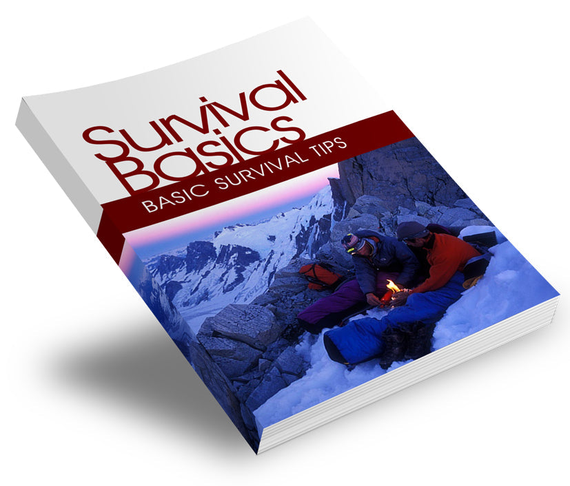 Survival Basics eBook
