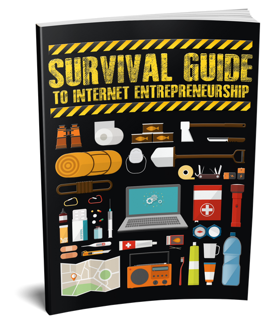 Survival Guide To Internet Entrepreneurship eBook