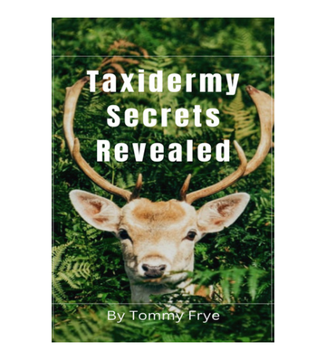 Taxidermy Secrets Revealed