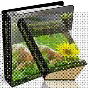 The Allergy Relief Source eBook