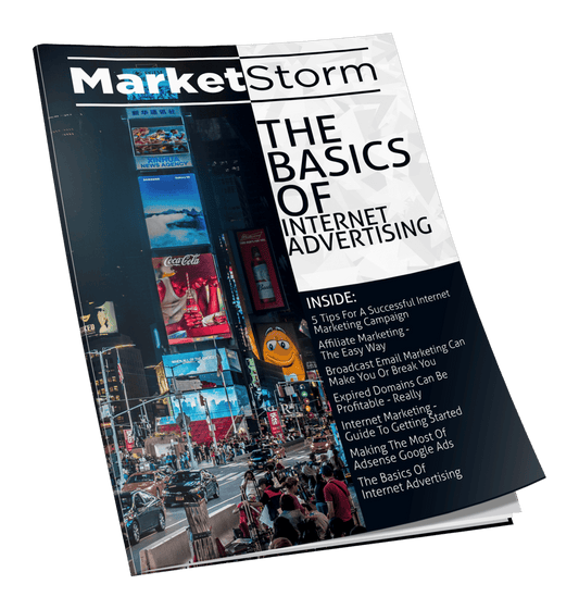 The Basics of Intenet Advertising eBook