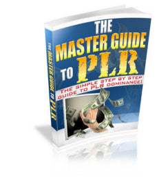 The Master Guide To PLR eBook