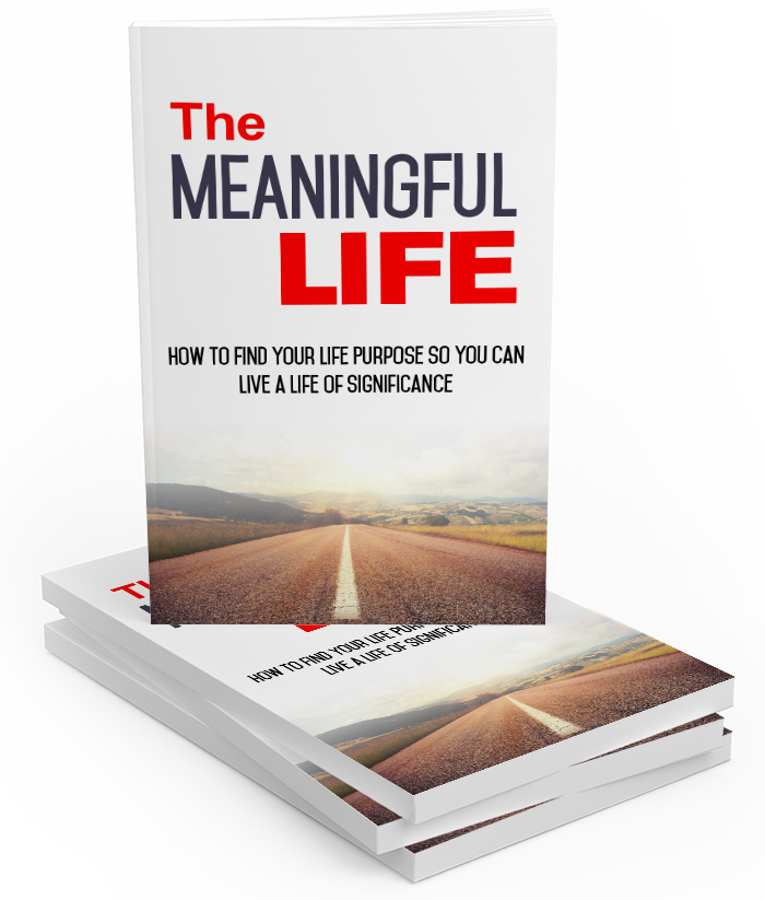 The Meaningful Life eBook