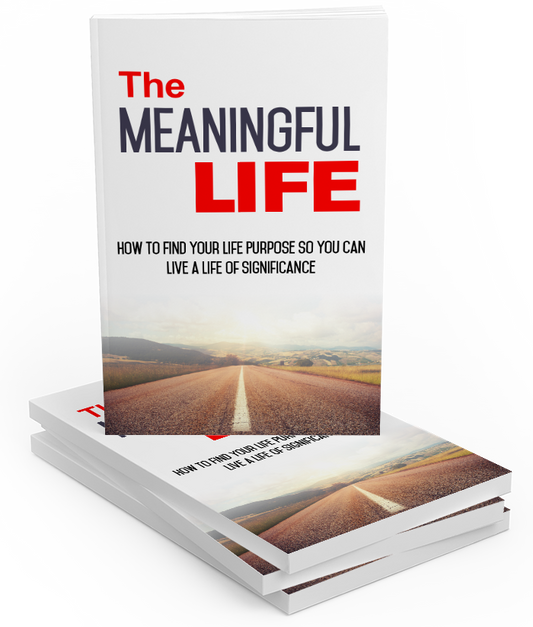 The Meaningful Life eBook