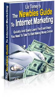 The Newbies Guide To Internet Marketing eBook