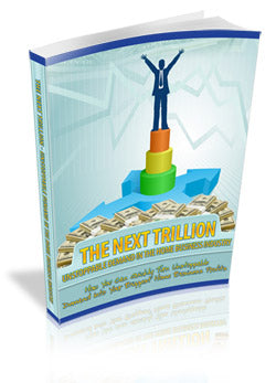 The Next Trillion eBook
