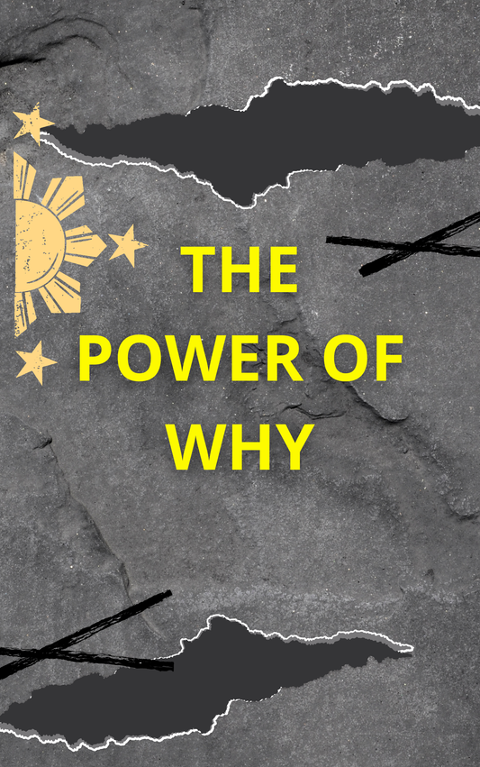 The Power of Why eBook