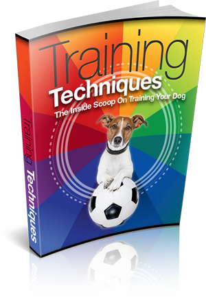 Training Techniques eBook