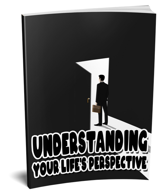 Understanding Your Life's Perspective eBook