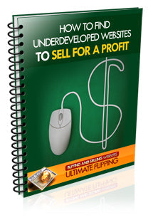 Find Undeveloped Websites To Sell For A Profit eBook