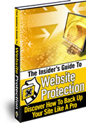 Website Protection eBook