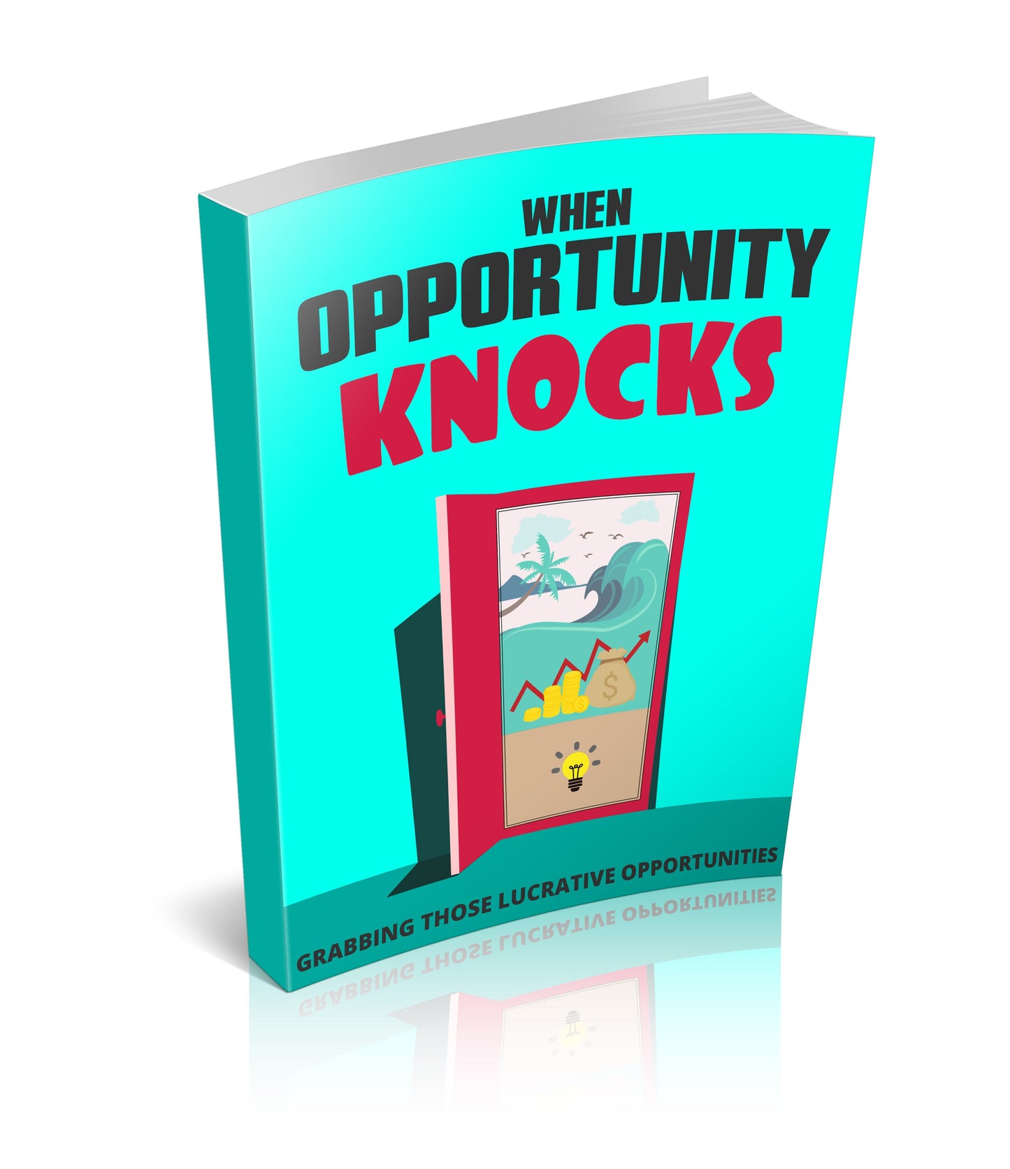 When Opportunity Knocks eBook