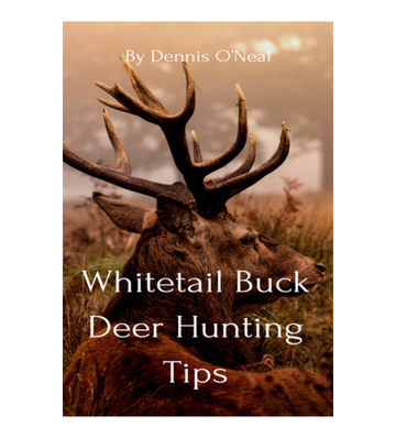 Whitetail Buck Deer Hunting Tips