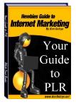 Your Guide to PLR eBook