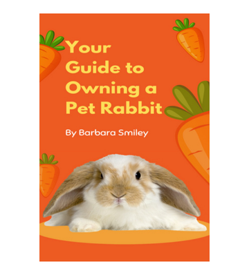 Your Guide to Owning a Pet Rabbit