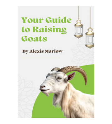 Your Guide to Raising Goats