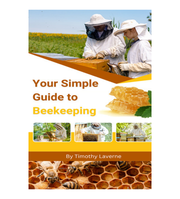 Your Simple Guide to Beekeeping