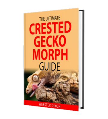 The Ultimate Crested Gecko Morph Guide